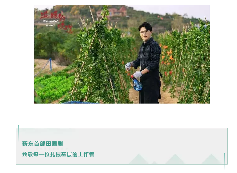 《溫暖的味道》舉行媒體見面會 靳東飾新時期“第一書記”