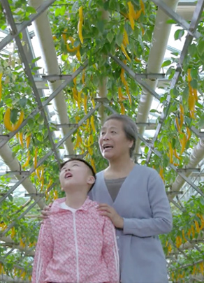 節(jié)水公益廣告——農(nóng)業(yè)篇